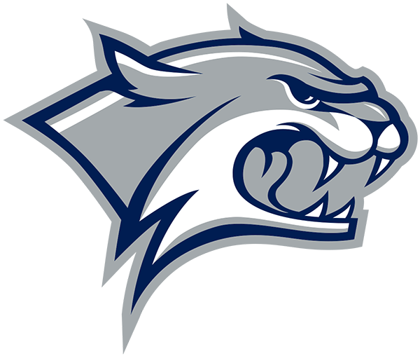 New Hampshire University Logo!