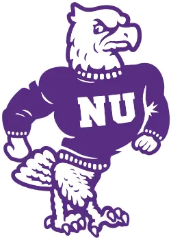 Niagara Logo!